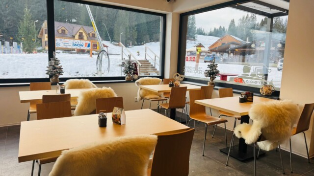 ski_or_lesna