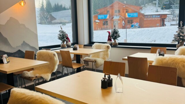 ski_or_lesna